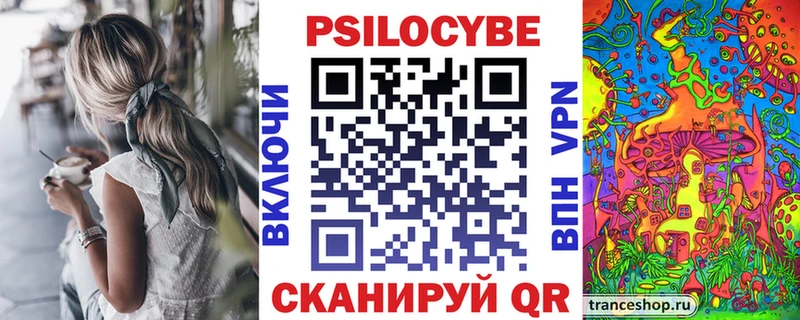Псилоцибиновые грибы Psilocybe Питкяранта