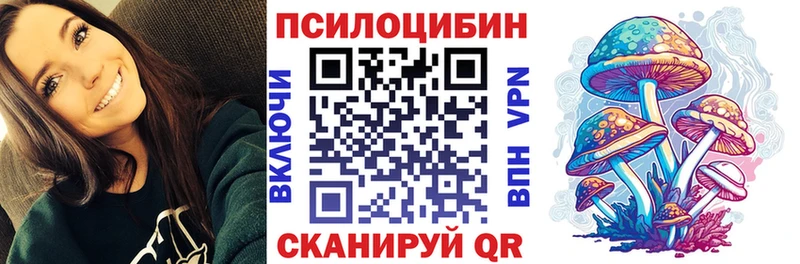 Галлюциногенные грибы Psilocybine cubensis  Питкяранта 